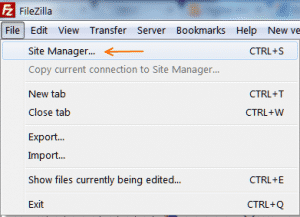 file-sitemanager