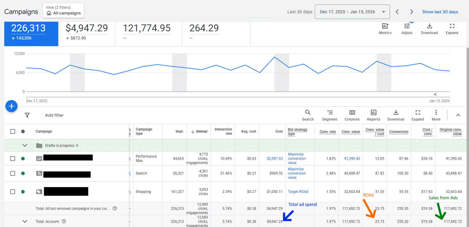 Google Ads showing 23 ROAS