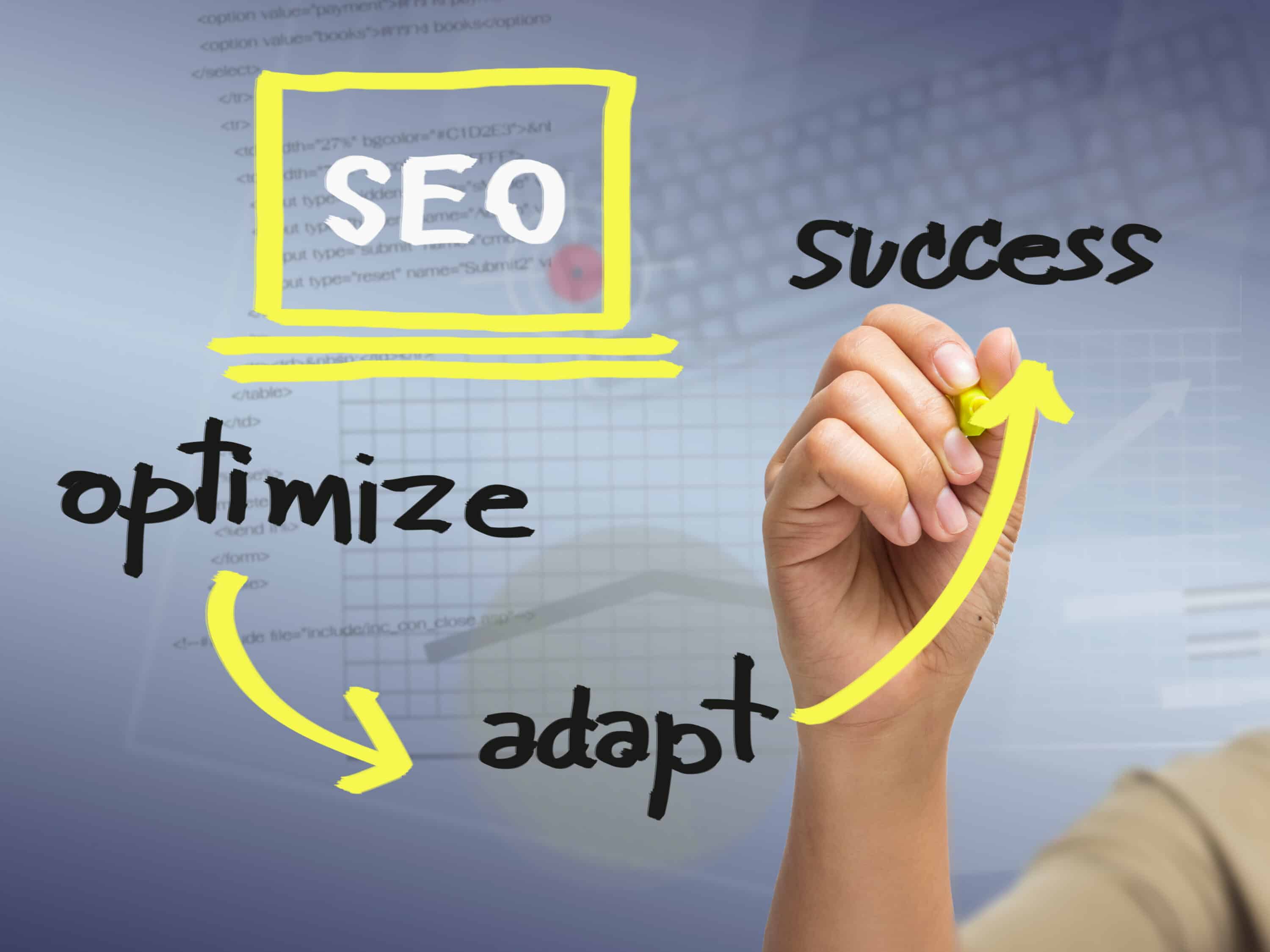 Marketing team providing SEO services for businesses in Ripon, Wisconsin